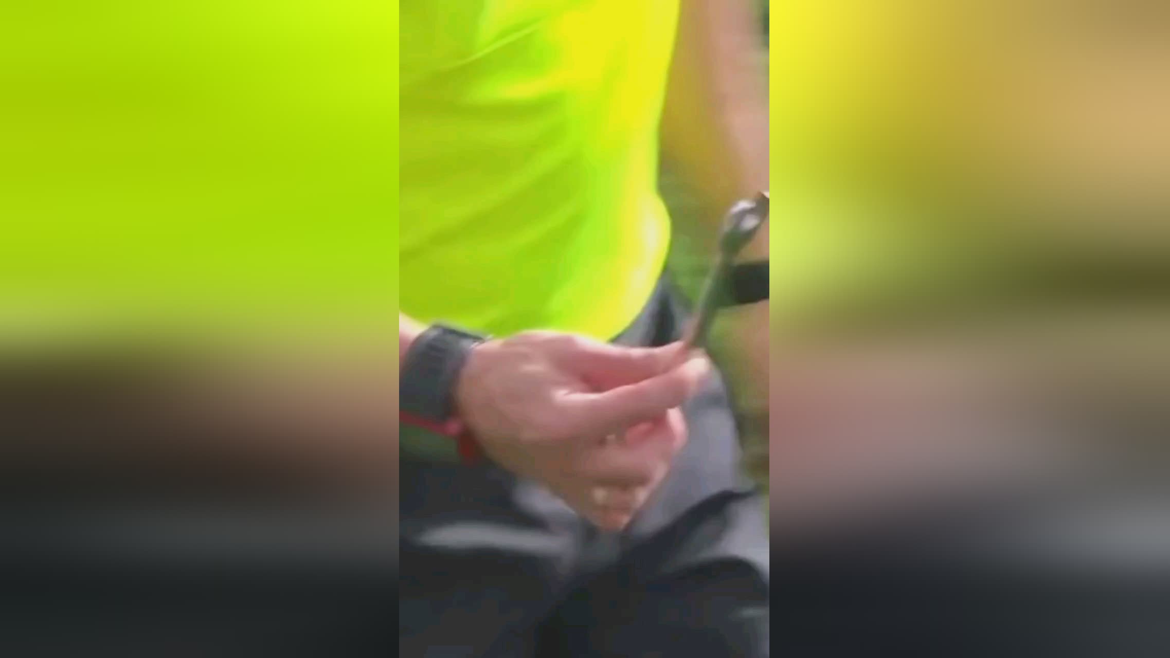 要的